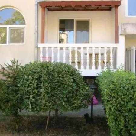 Your Lovely Summer In Sunny Apartman